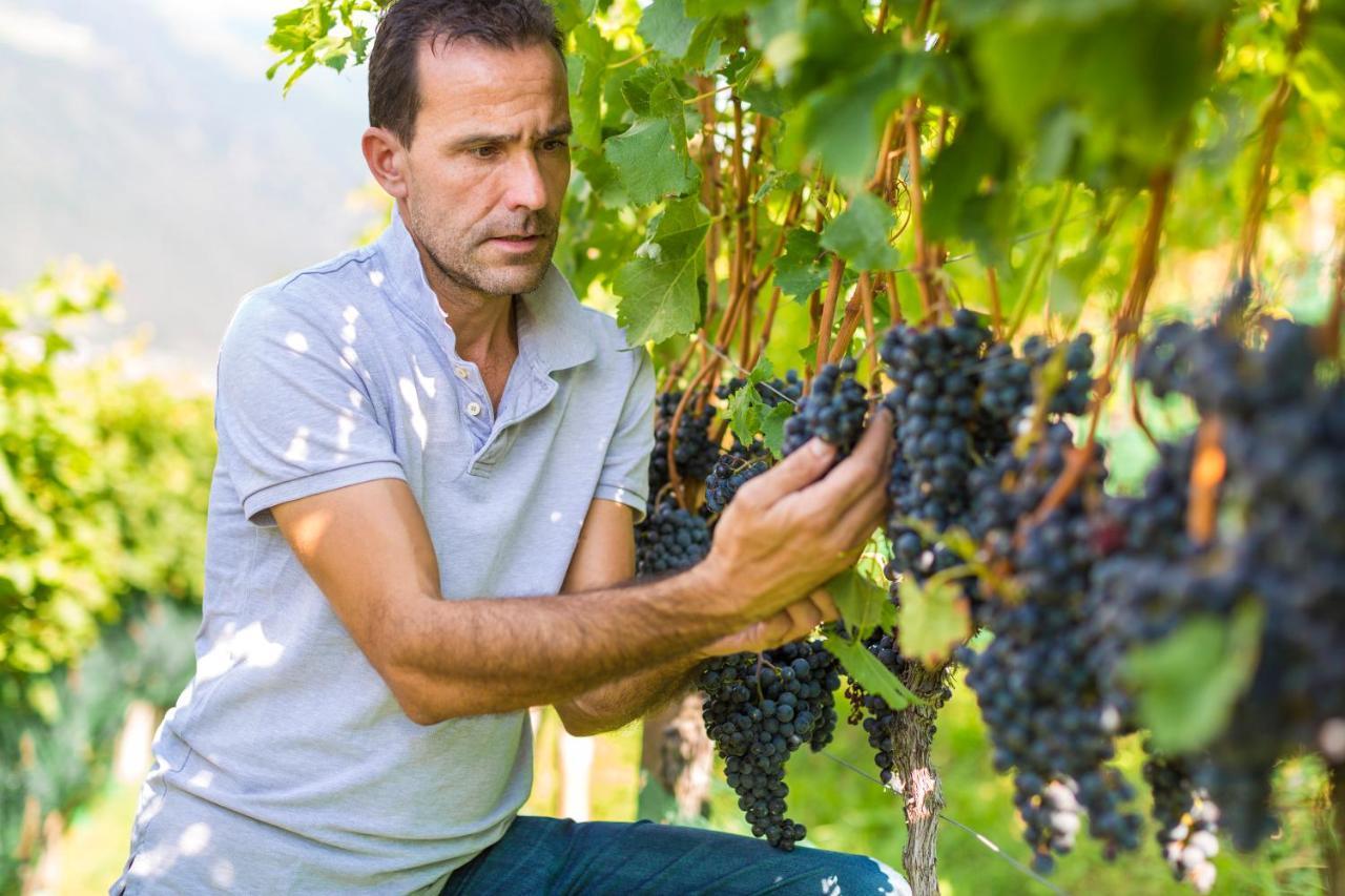 Hotel Weingut Innerleiterhof سكين المظهر الخارجي الصورة